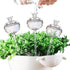 3 PCS Self Plant Watering Globes Insert, Clear Glass Watering Bulbs with Removable Sealing Plug, Plant Waterer for Indoor & Outdoor Plants Flowers (5 oz)