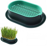 Cat Grass Planter Hydroponic Cat Grass (No Seeds Included) Catnip Wheatgrass Seed Sprout Tray Nursery Plant Plng Box for IndoorSoill