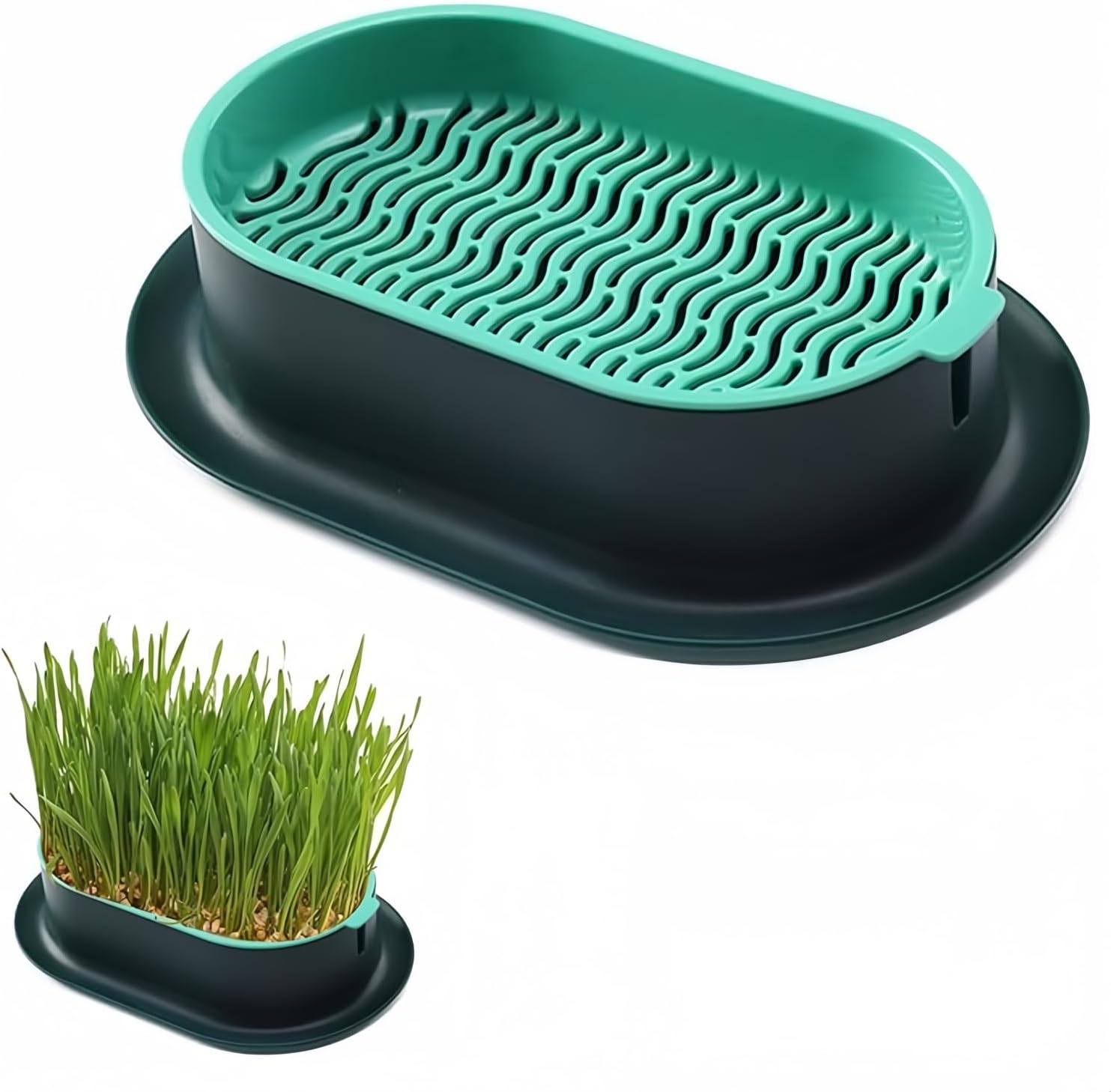 Cat Grass Planter Hydroponic Cat Grass (No Seeds Included) Catnip Wheatgrass Seed Sprout Tray Nursery Plant Plng Box for IndoorSoill