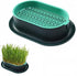 Cat Grass Planter Hydroponic Cat Grass (No Seeds Included) Catnip Wheatgrass Seed Sprout Tray Nursery Plant Plng Box for IndoorSoill