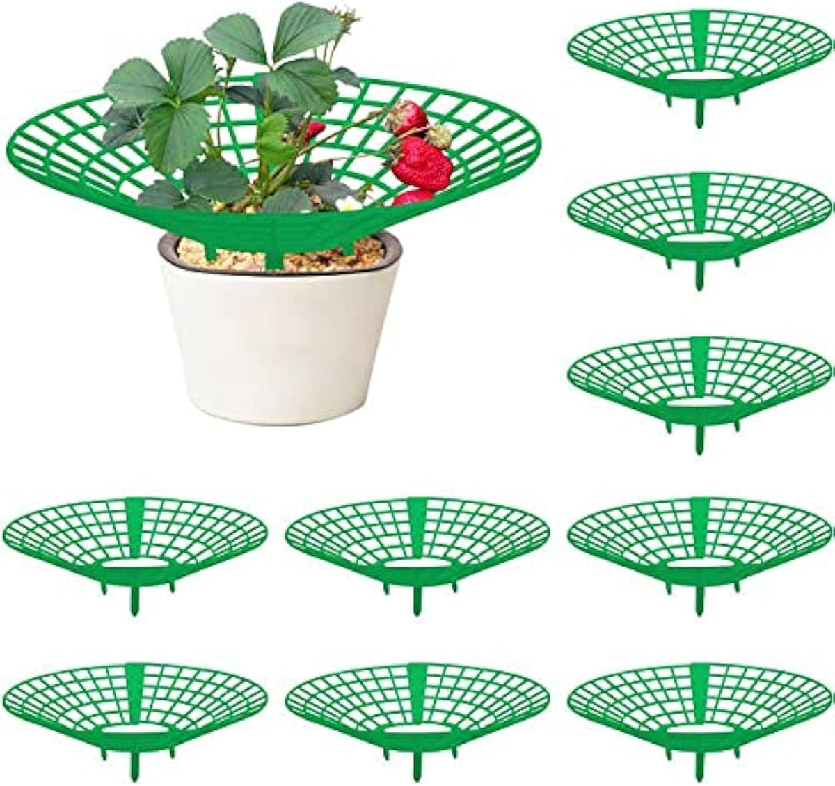 10 Pack Strawberry Plant Supports, Strawberry Plant Stand with 3 Sturdy Legs, Strawberry Growing Racks, Strawberry Growing Frame, Protecting Strawberry Plants from Mold, Rot and Dirt, Green