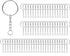 100 Pack Metal Keychains,1 Inch Split Key Chain Rings with Chain and Open Jump Rings for Keychain Making and Crafts DIY