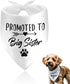 Promoted to Be Big Sister Dog Bandana Baby Announcement Pet Bandanas for Dogs Scarf for Small Medium Large Dogs Baby Gender Reveal Photo Prop Pet Scarf