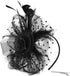 Fascinators For Women,Mesh Feather Fascinator Hats,Headband Hair Clip Net Veil Headwear, Party Evening Dress Female Veil Gauze Hair Accessories（Black）
