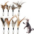 8 Pcs Cat Feather Toys with Bells, Feather Teaser Cat Toy, Replacement Feather Refills with Bells, Exerciser Playing Toy for Kitten or cat