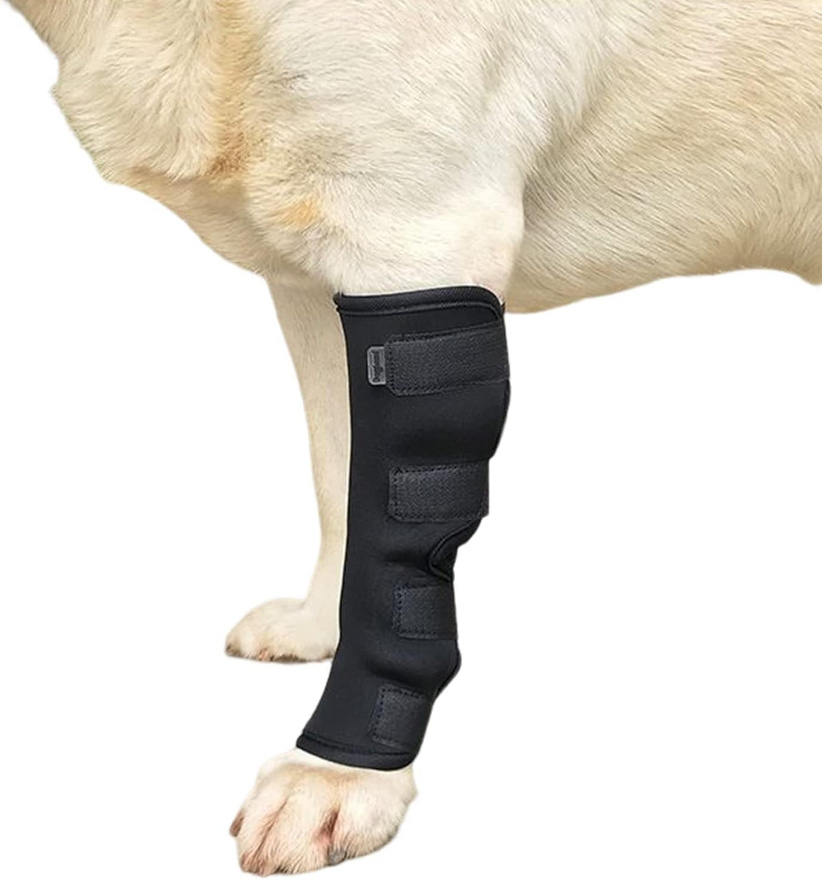 1Pc Canine Dog Hock Joint Support Brace, Adjustable Pet Dog Leg Braces Compression Wrap for Recovery Dog Braces Protect Legs Wounds Injuries for Pain Relief