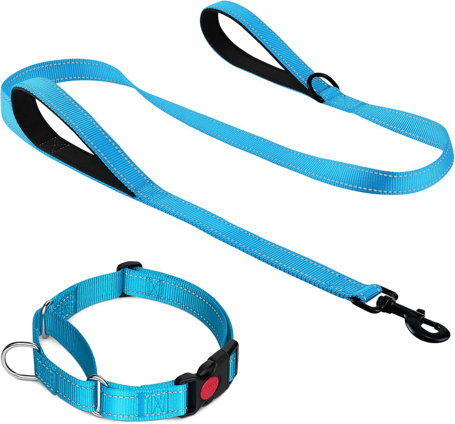 Martingale Dog Collar(12.5-16''), 6FT Double Handle Leash for Training, Sky Blue -