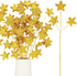 24 Pcs Glitter Star Picks 13.8&