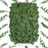 50 Pcs Pressed Dried Eucalyptus Leaves 6 Inch 100% Natural Preserved Real Stems Greenery for DIY Crafts Resin Art Invitations Scrapbook Card Gift Decoration (Green) Green -