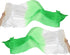 16 Fan Belly Dance Silk Veil 59", 1 Pair (Left+Right) Women Long Folding Wood for Performance, White Green 59"