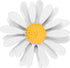 Daisy Pin, Flower Women Brooch Lapel Pins Sunflower Suit Pin for Shirt Hat Cardigan Sweater Decorate Tie Tacks Back Clutch Jewelry Gifts White -