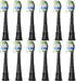 Replacement Brush Heads Compatible with Philips Sonicare ProtectiveClean 6100, 5100, 4100 Electric Toothbrush, W Toothbrush Head or Sonicare 6062/95, Black, 12 Count