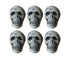 6 Pcs/Set Halloween Skull Ornament Artificial Realistic Increase Atmosphere Durable Clear Texture Skeleton Horror Halloween Skull Statue for Home-White