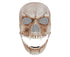 Adjustable Halloween Ghost Masque with Scary Looking Artificial Skeleton Face for Theme Parties Masquerade Balls
