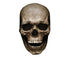 Unisex Creepy Halloween Skull Mask with Moving Jaw Entire Head Full Head Latex Helmet - Dark