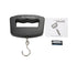 50kg/10g Portable Digital Precise Mini Fish Hook Scale Electronic Luggage Hanging Weight
