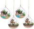 4pcs Hanging Glass Terrarium, Large Opening Vase, 10cm Plant Ball, Glass Ball for Home Planter, Wedding, Garden, DIY Design