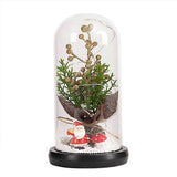 Glass Dome Christmas Plants Christmas Decorations Glass Dome Christmas Tree Branch with Lights