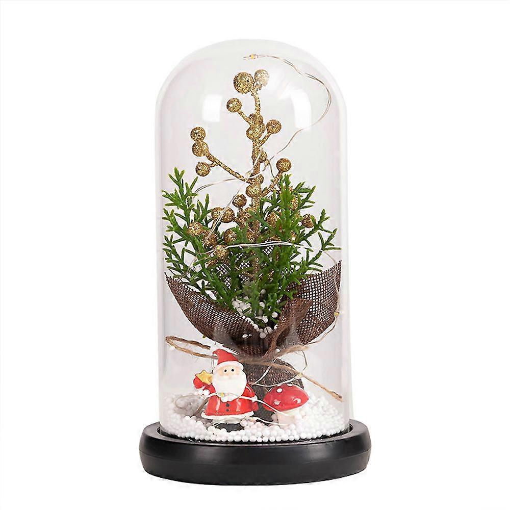 Glass Dome Christmas Plants Christmas Decorations Glass Dome Christmas Tree Branch with Lights
