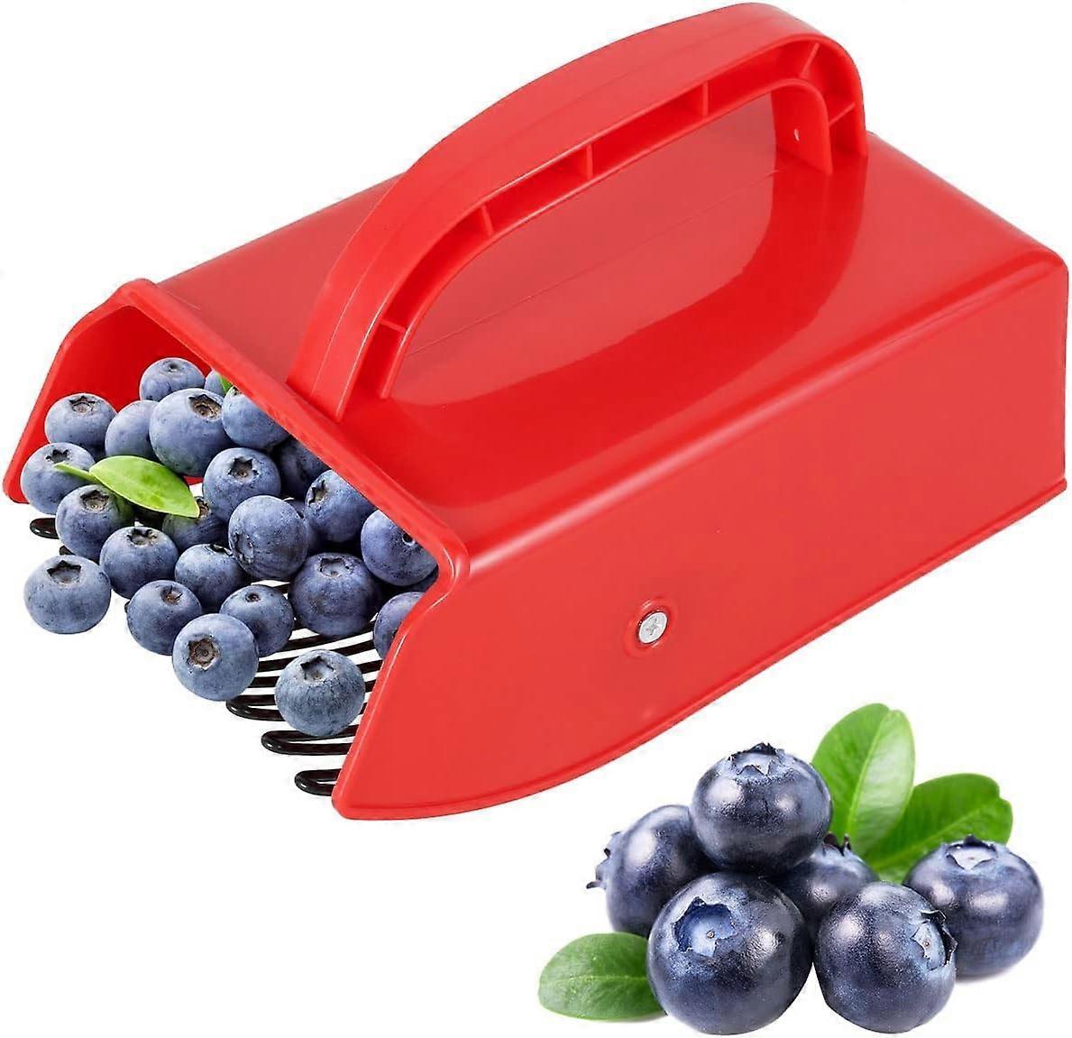 Blueberry Comb Berry Picker with Metal Fruit Picker Comb for Currants, Blackcurrants, Picker