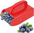 Blueberry Comb Berry Picker with Metal Fruit Picker Comb for Currants, Blackcurrants, Picker