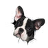 Car Decals, Dog Car Stickers Dogs Lover Car Crack Decal 3d Realistic