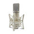 Large Diaphragm Condenser Microphone - Studio/Gaming/Podcast Mic for PC