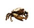 Brass Crab Statue for Gift-Brass Color