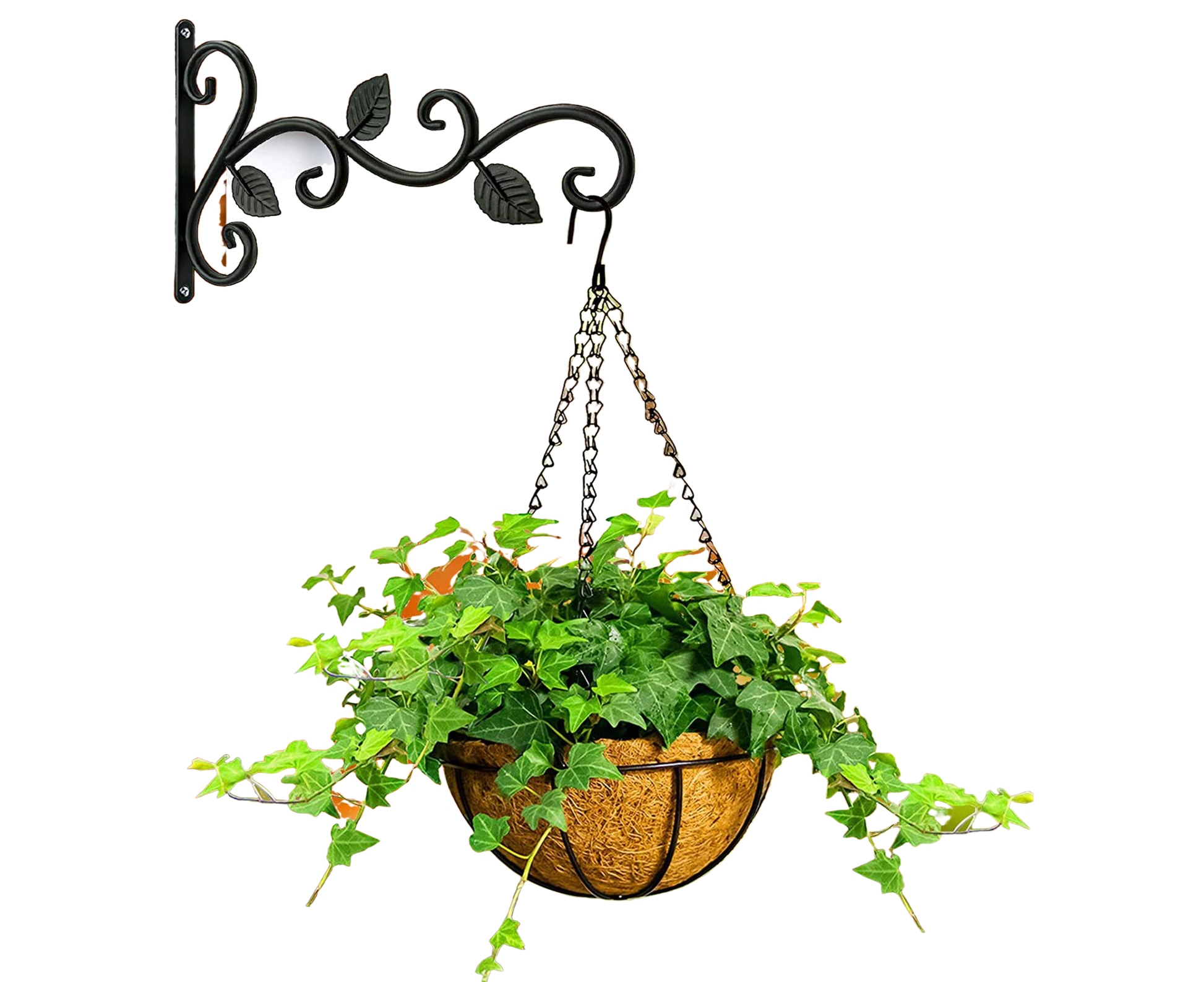 Plant Holder for Garden-Black