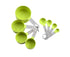 8Pcs/Set Stainless Steel Handle Measuring Spoons Baking Cooking Scale Scoop-Green