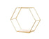 Nordic Hexagonal Iron Stand Small Pot Wall Holder Home Shelf Storage Holder-Golden M