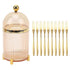 10pcs Stainless Steel Mini Forks Set with Storage Jar for Dessert & Salad