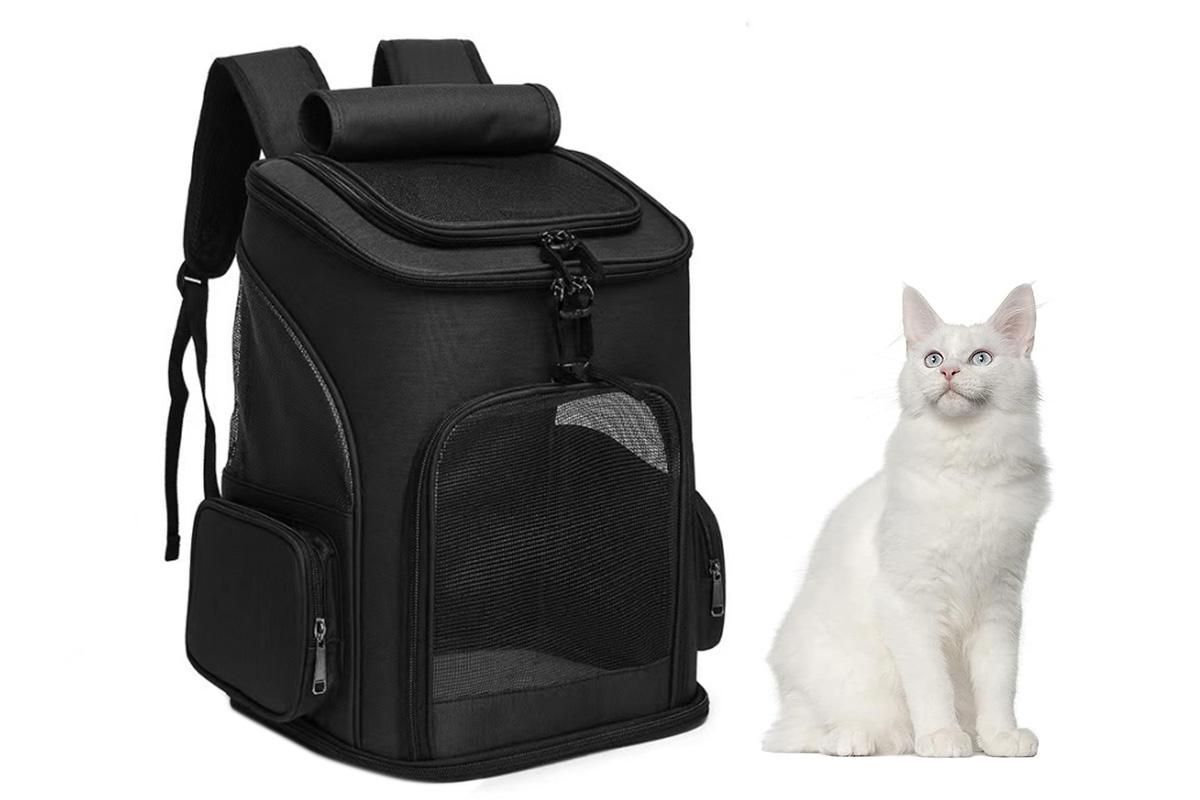 Expandable Large Cat Backpack Carrier for Small Pets - Black