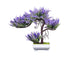 Vibrant Bonsai Plant-Purple
