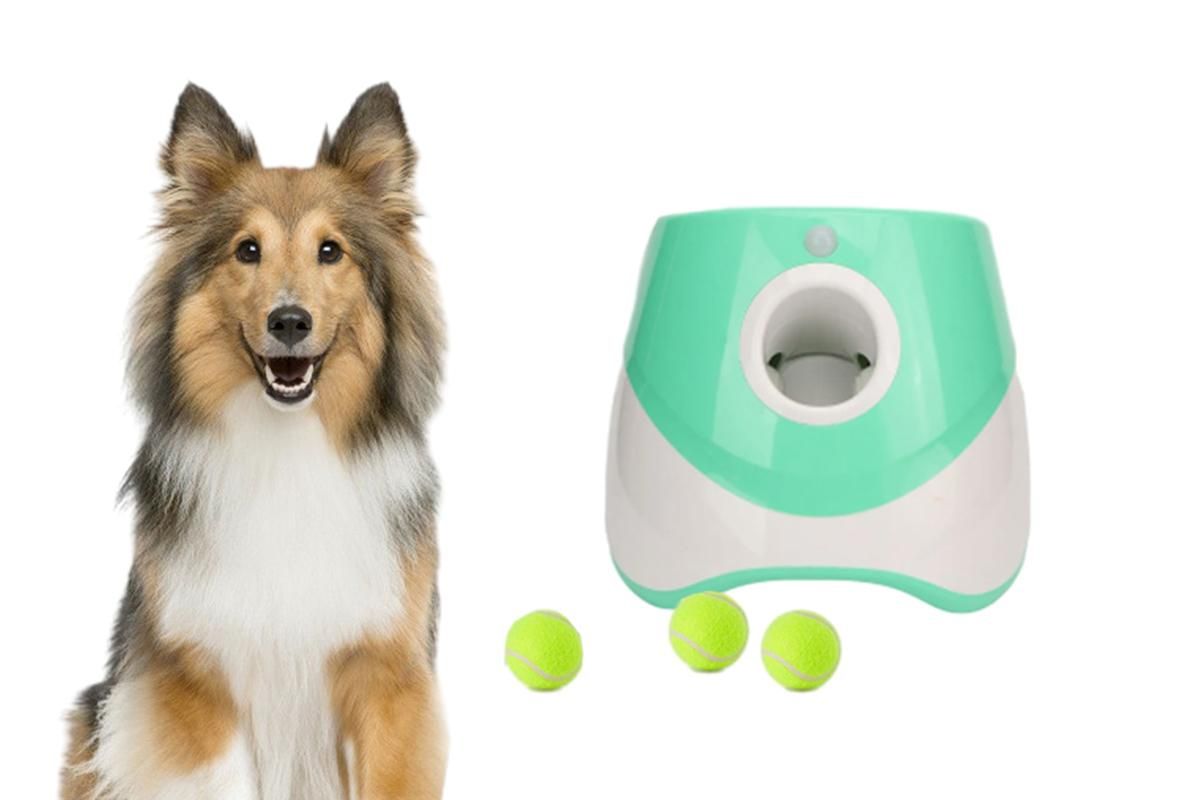 Dog Ball Launcher Thrower Automatic Tennis Fetch Throwing Machine with 3 Balls -Green