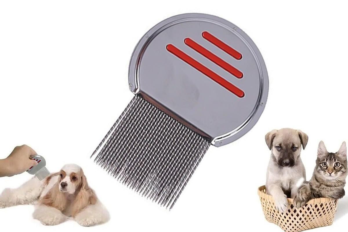 Stainless Steel Pet Flea Comb Fine Tooth Grooming Tool for Dogs Cats - Red