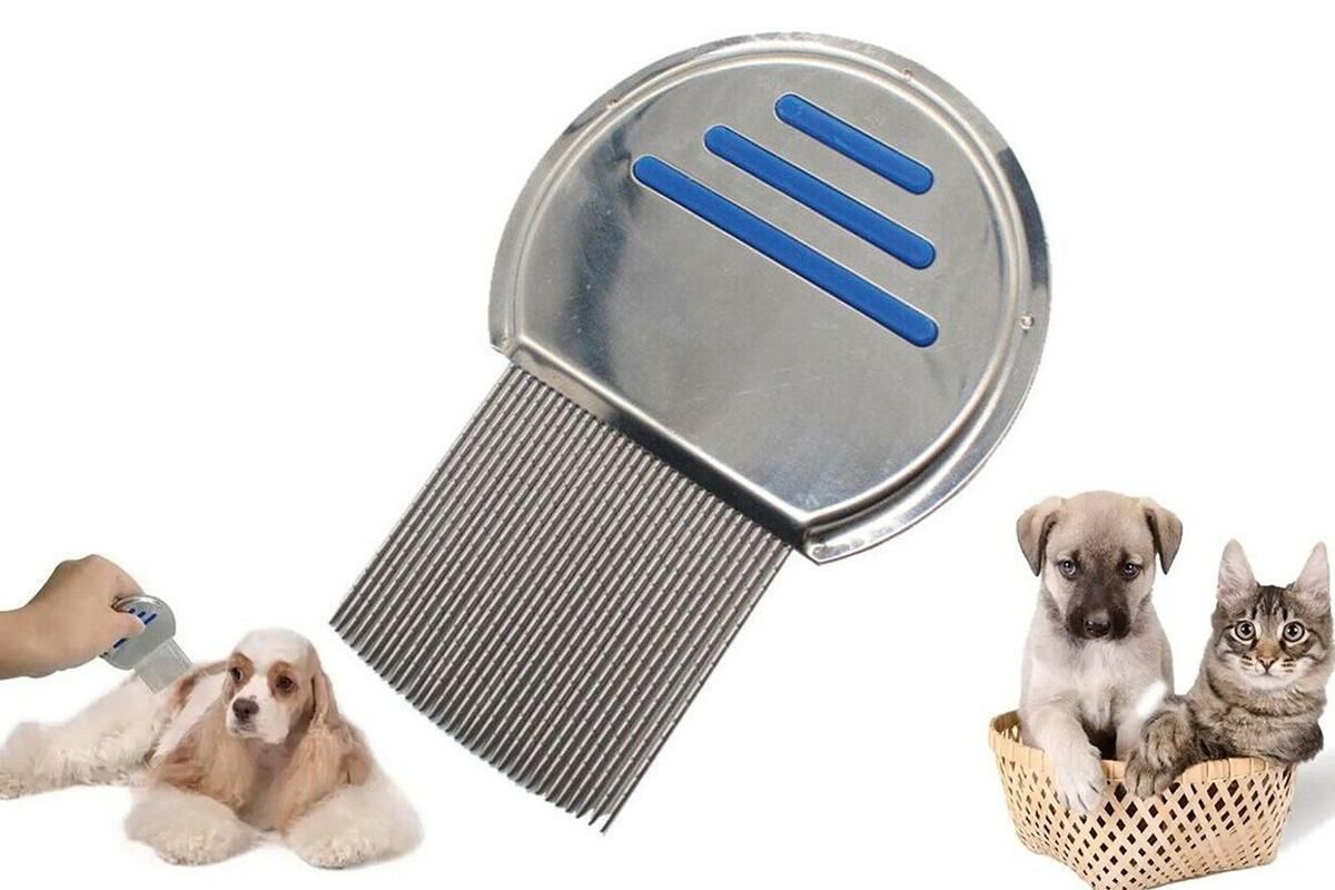 Stainless Steel Pet Flea Comb Fine Tooth Grooming Tool for Dogs Cats - Blue