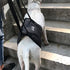 Pet Dog Support Harness Walking Vest Dog Sling Support Sling Gray - M