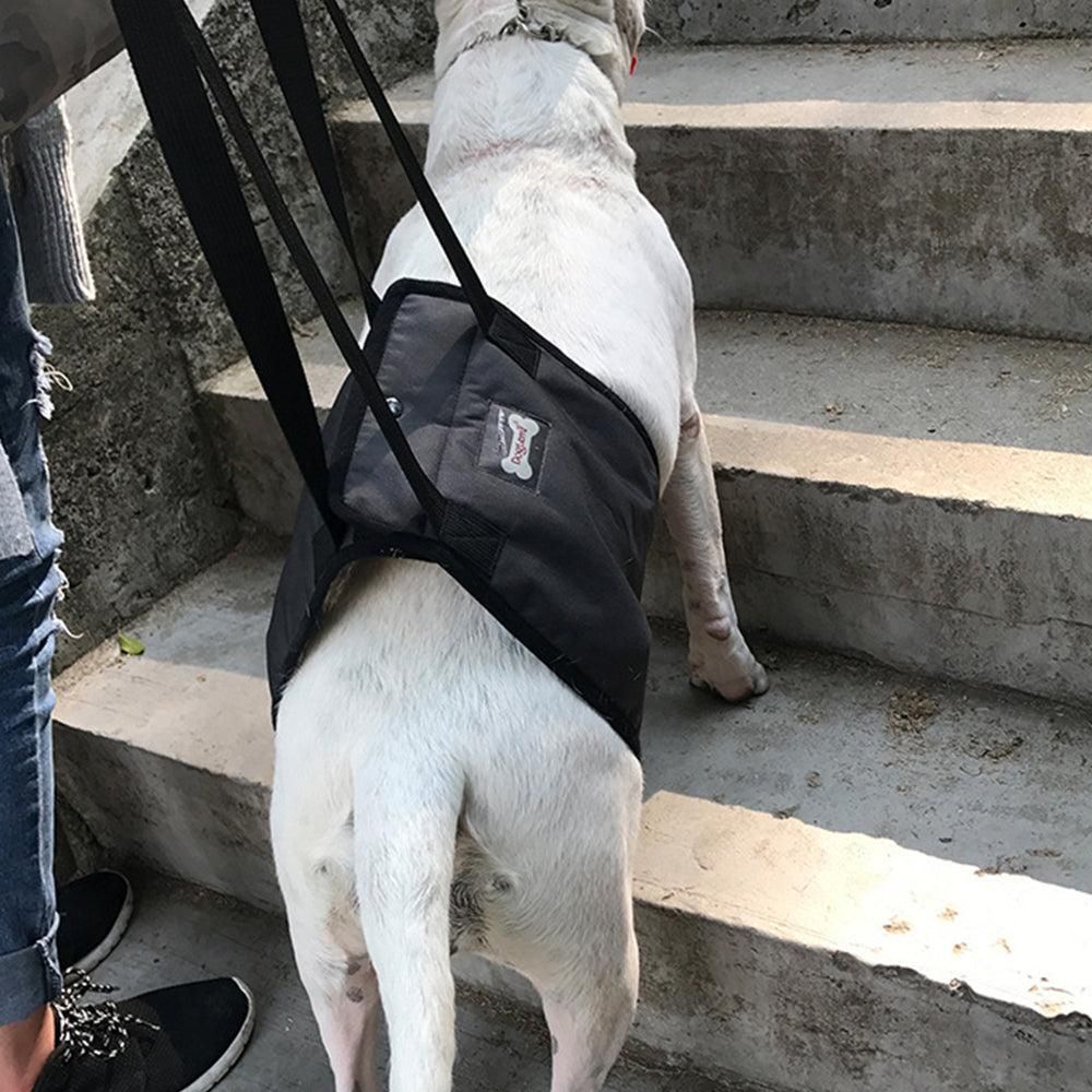Pet Dog Support Harness Walking Vest Dog Sling Support Sling Gray - XL