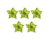 5Pcs Artificial Xmas Flower Leaves-Army Green