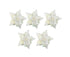 5Pcs Artificial Xmas Flower Leaves-Silver White