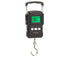 Fishing Scales Electronic Weighing Balance Digital Hanging Hook Scale
