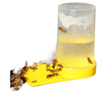 3Pcs Bee Waterers Beekeeping Equipment - Yellow