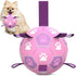 Durable Dog Soccer Ball Toy, 15cm Inflatable Soccer Ball, Teething and Entertainment Training Ball, Includes Pump - Pink