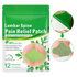 Herbal Mugwort Lumbar Patches: Warm Compress Patches for Lower Back Pain Caused by Muscle Strain or Prolonged Sitting (48 pcs/4 boxes)