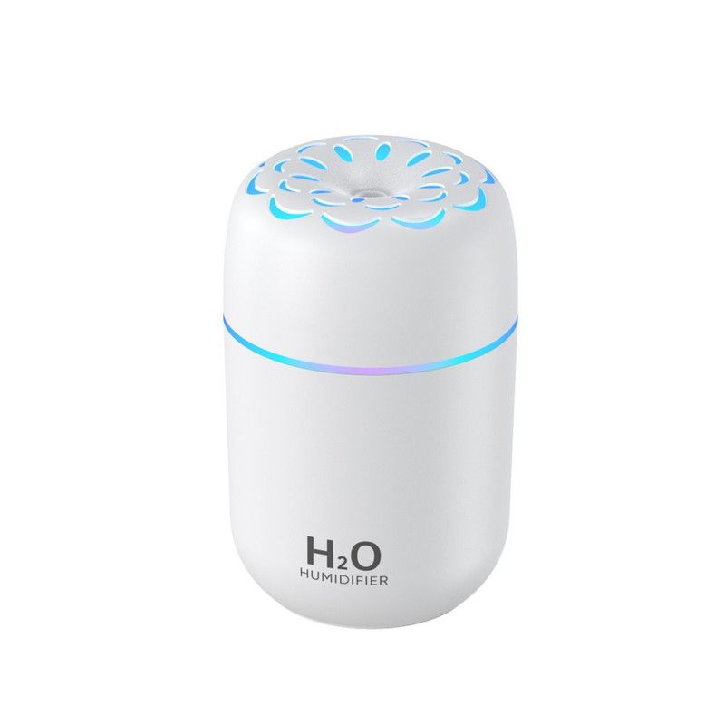 Flower Nozzle Mini USB Humidifier, 250ml Portable Cool Mist Humidifier with RGB Night Light, for Car, Bedroom, or Desk - White