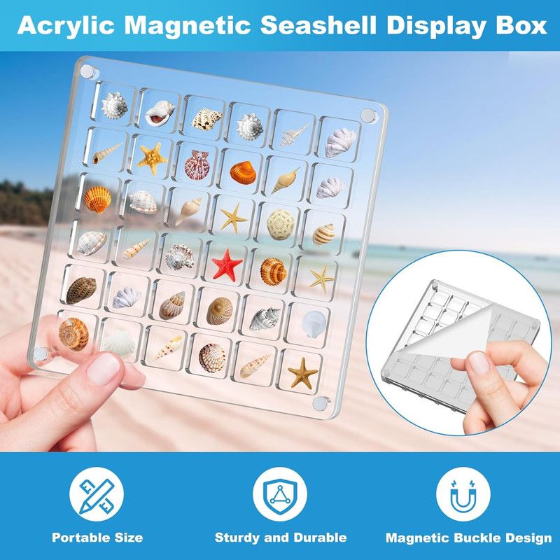 Acrylic Magnetic Seashell Display Box,Clear Sea Shell Display Box,Beach Magnet Storage Organizer Case for Seashell Diamond Beads,36 Grids,Transparent,1 Pack