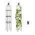 Gardening Climbing Vine Plant Climbing Vine Trellis for Climbing Plants