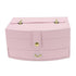 Travel Jewelry Case Portable 2 Layers PU Leather Jewelry Storage Holder Box with Clasp and Handle for Earrings Necklace Pink