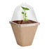 Seedling Cup Biodegradable Planter Pots With Humidity Dome Plant Nursery Pots